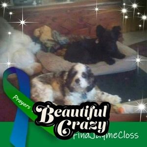 Meet your Posher, Carmen